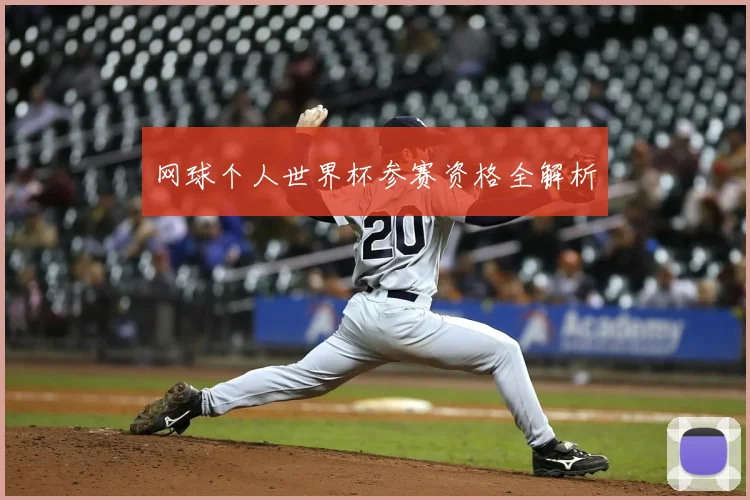 网球个人世界杯参赛资格全解析