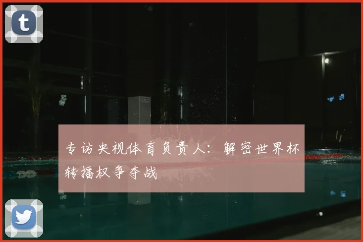 专访央视体育负责人：解密世界杯转播权争夺战
