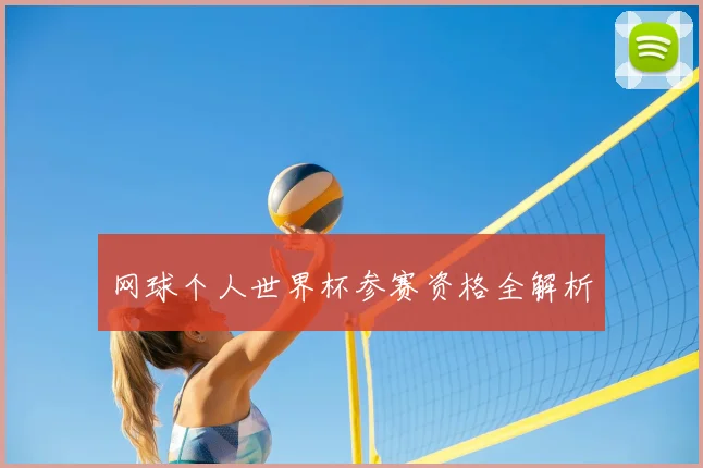 网球个人世界杯参赛资格全解析