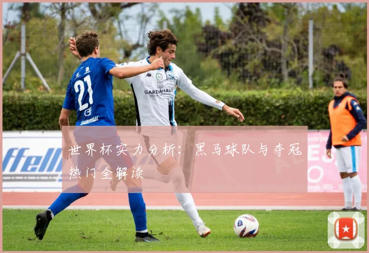 世界杯实力分析：黑马球队与夺冠热门全解读