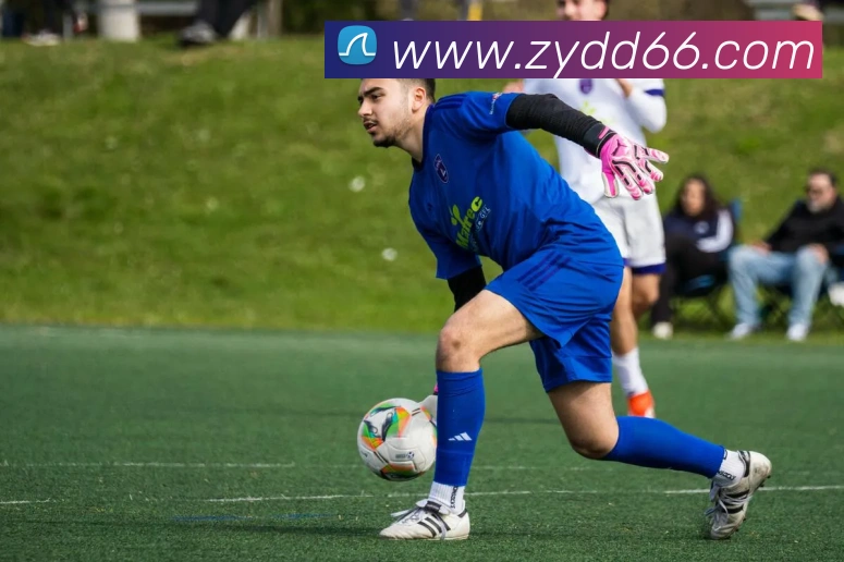 半岛官网在线登陆平台生态图